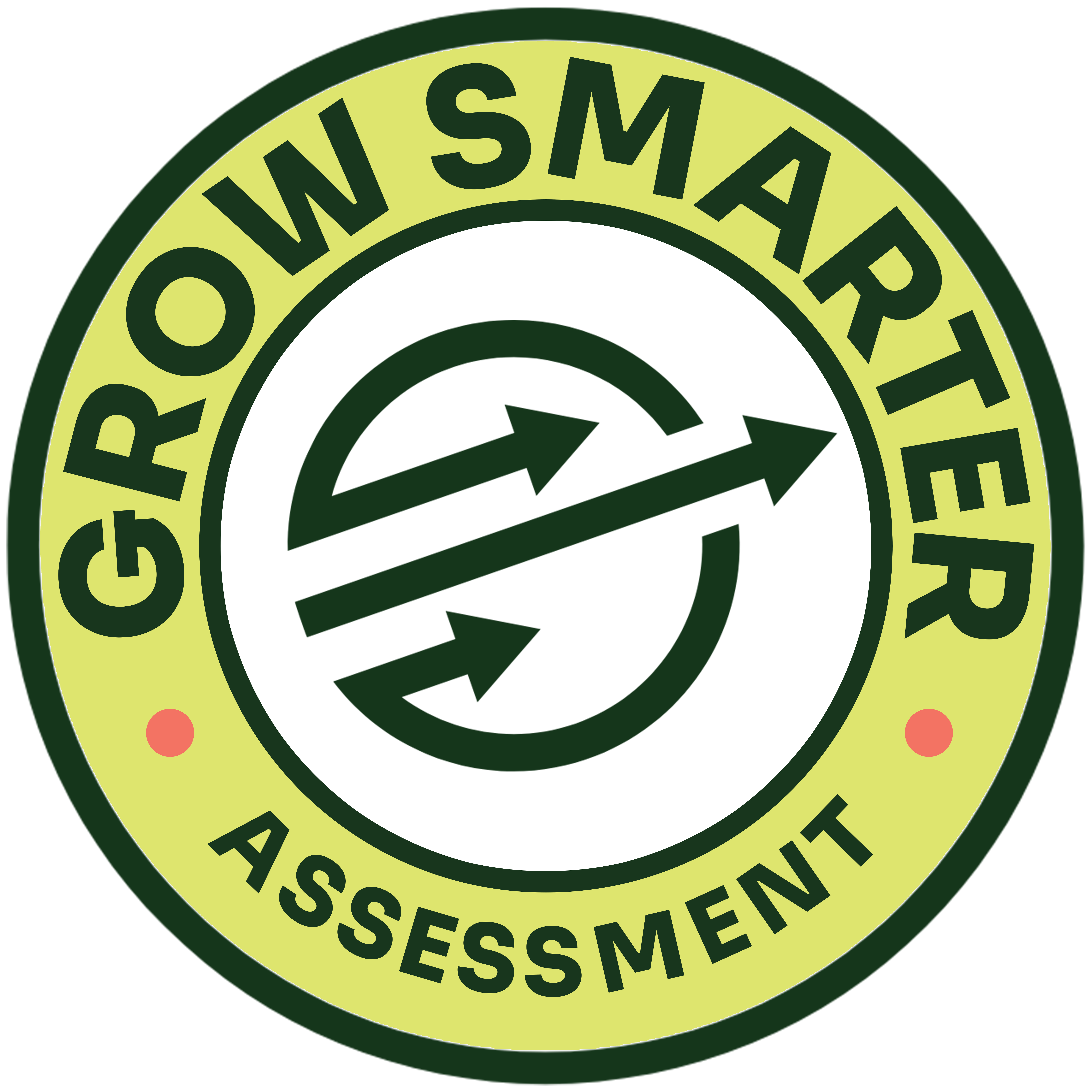 GS ASSESSMENT (GREEN BG)